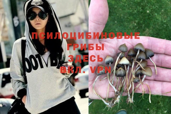 альфа пвп Елабуга