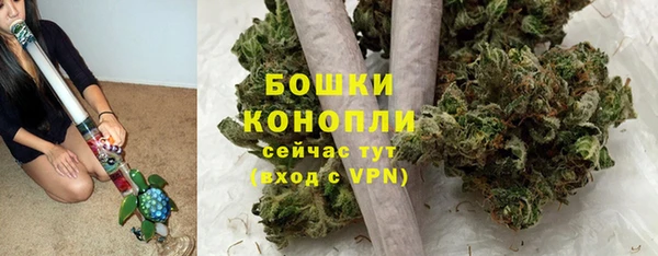 марки nbome Ельня