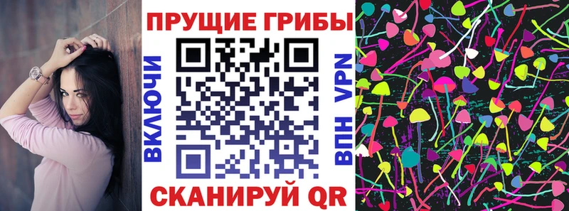 как найти закладки  Среднеуральск  Псилоцибиновые грибы прущие грибы 