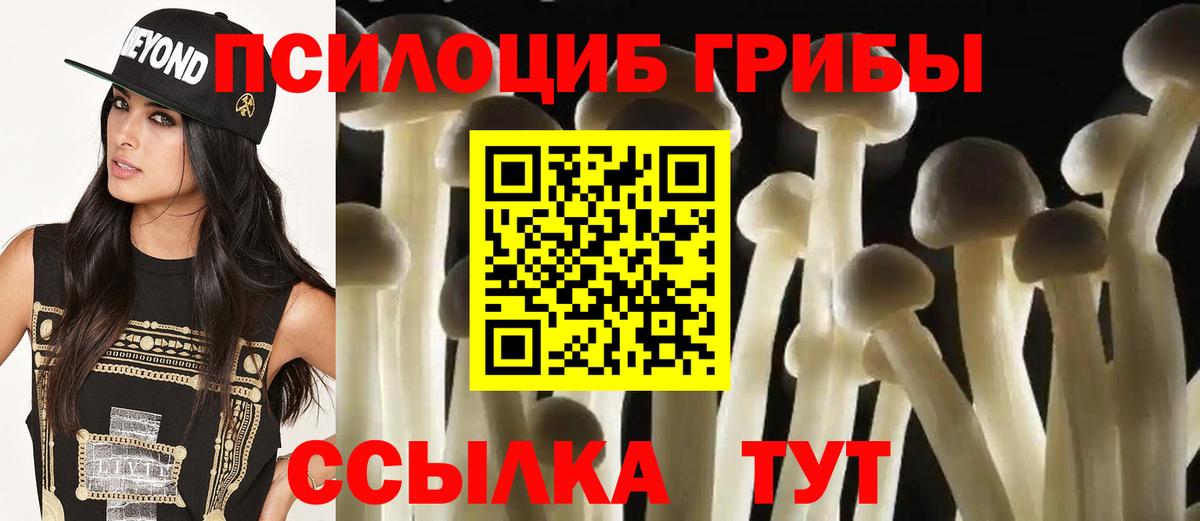 хочу   Галлюциногенные грибы мицелий  Вход с VPN  Среднеуральск 